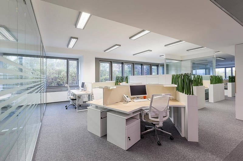 Contemporary office with desks, chairs, and green plants for a professional environment.